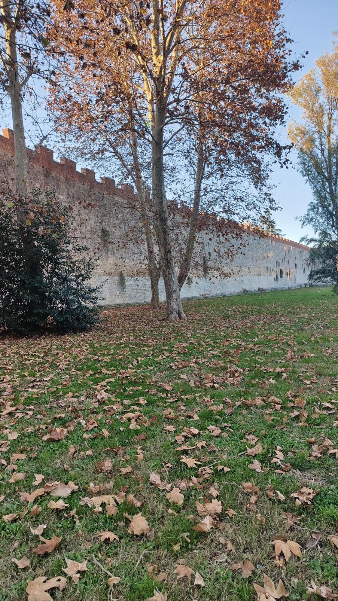 L'Angolo Di Galileo Pisa Dış mekan fotoğraf